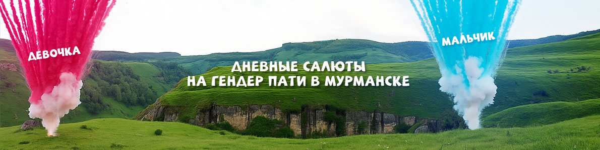 Дневной салют на определение пола малыша в Мурманске